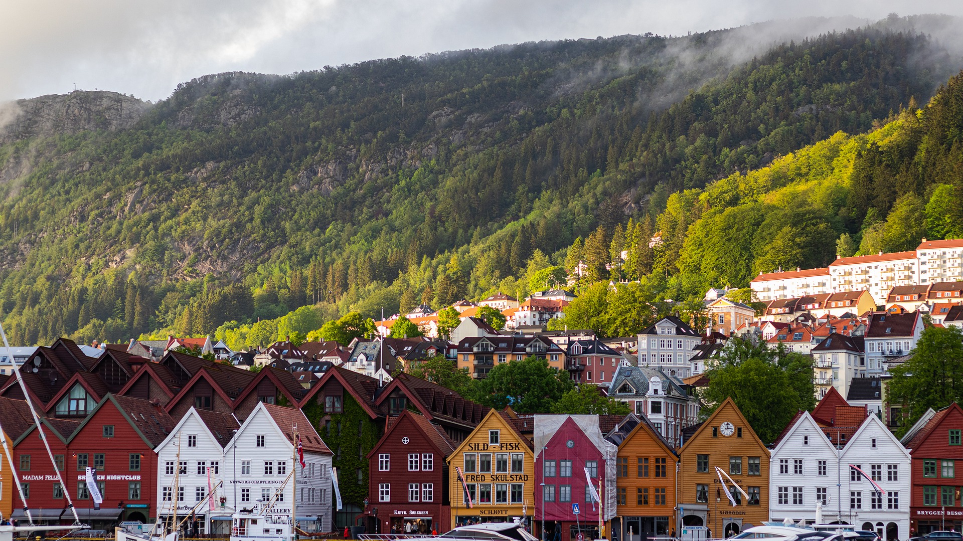 Norwegen_Bergen.jpg